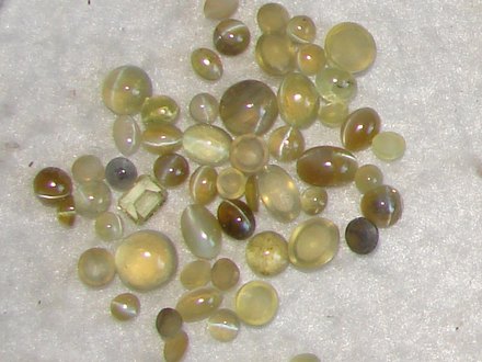 Cats Eye Lehsunia