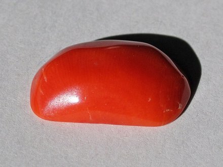 Red Coral Moonga