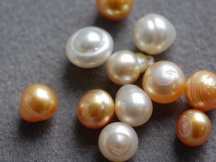 Pearl Moti