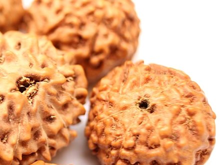 3 Mukhi Rudraksha